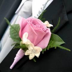 Салон цветов Зимний сад