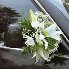 Салон цветов Зимний сад